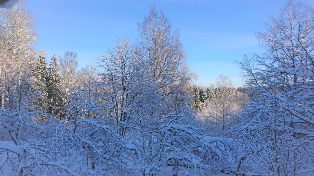 Villa Jokivarsi Bed&Breakfast Vantaa Esterno foto